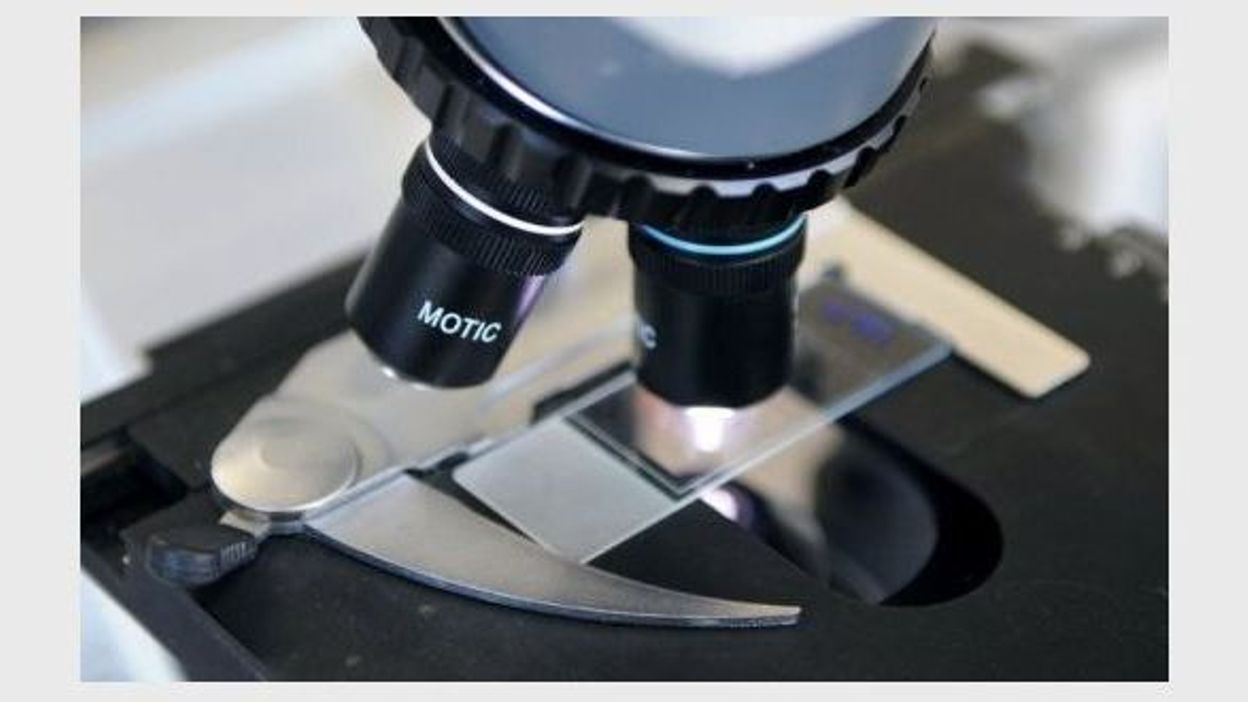 cancer du colon symptomes wikipedia