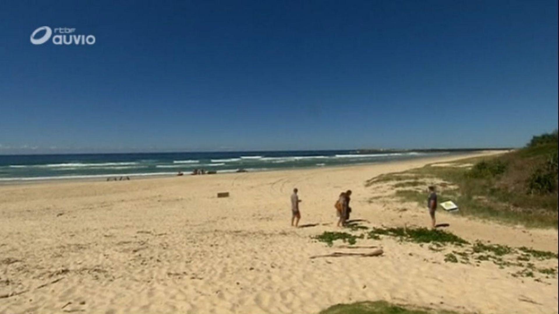 Un jeune surfeur blessé par un requin en Australie rtbf be