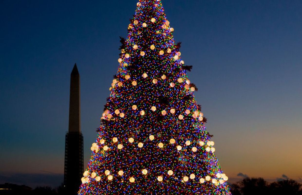 Les plus beaux sapins de Noël dans le monde