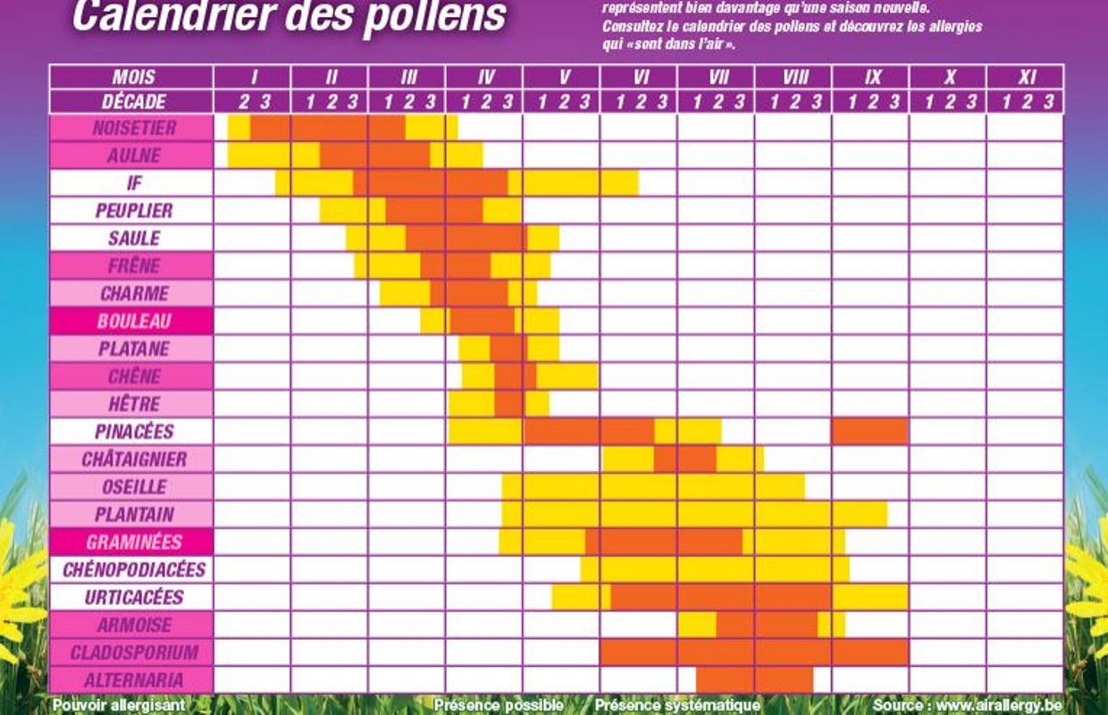 La saison du rhume des foins a démarré un peu plus tôt que prévu et