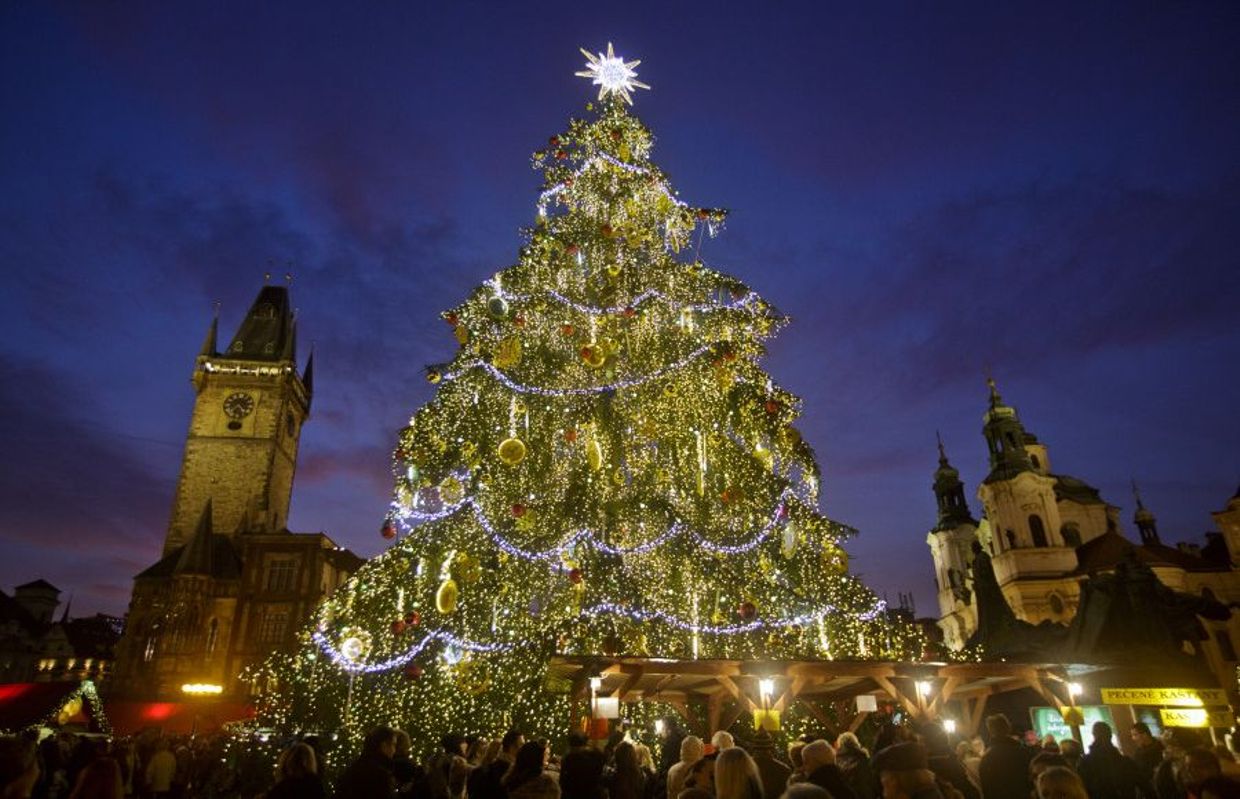 Les plus beaux sapins de Noël dans le monde