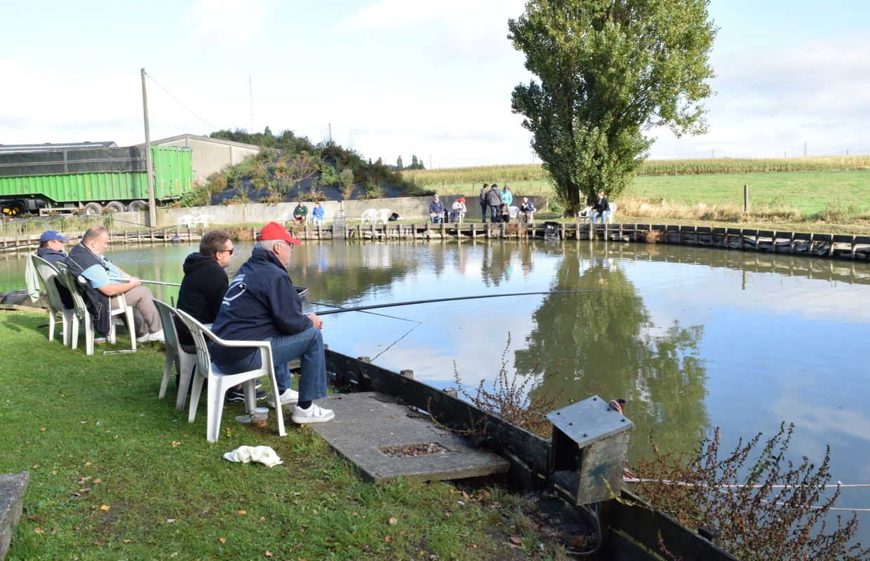 etang peche truite brabant wallon