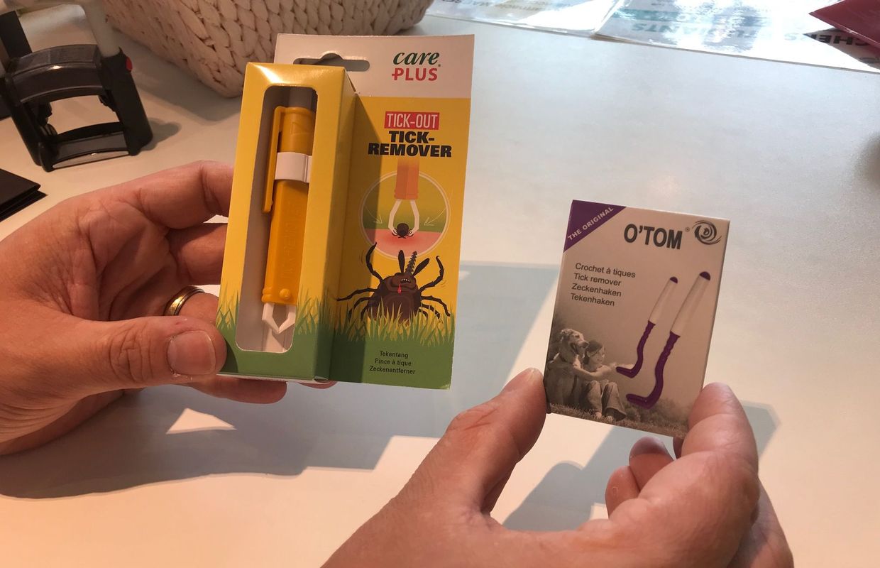 Nid De Tiques Dans La Maison | Ventana Blog