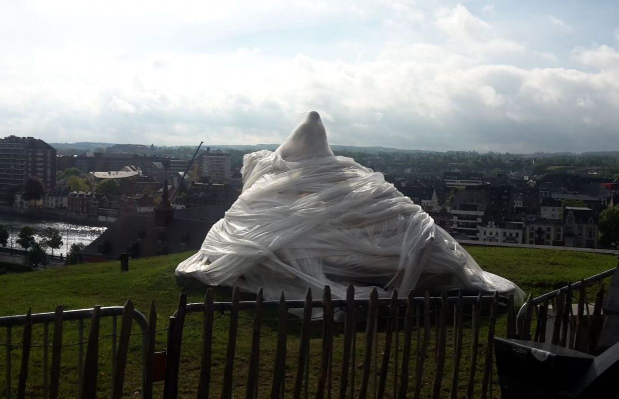 Namur La Tortue De La Citadelle Emballee L Oeuvre D Un Plaisantin