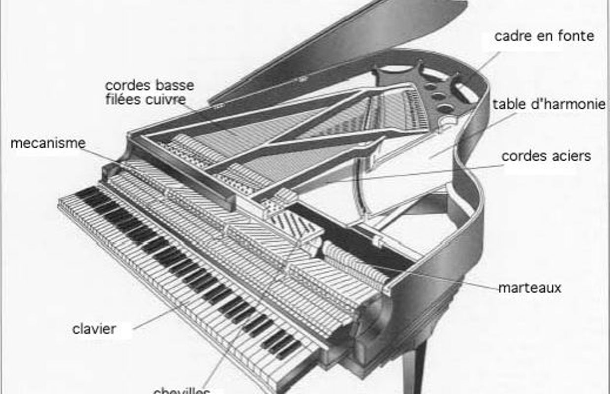 Схемы музыкальных инструментов. Grand Piano Yamaha с3х Soundboard. Grand Piano Yamaha с1x Soundboard. Пианола строение. Устройство пианино.