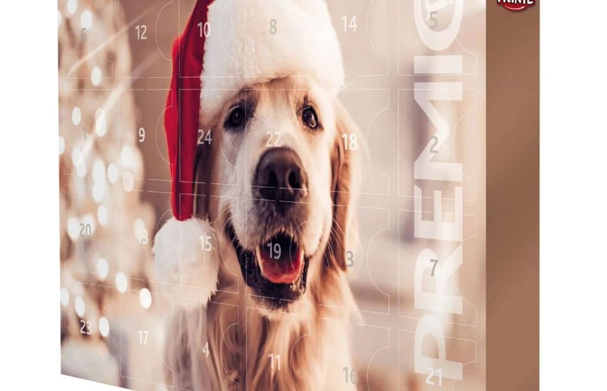 Les Calendriers De L Avent Pour Nos Animaux De Compagnie