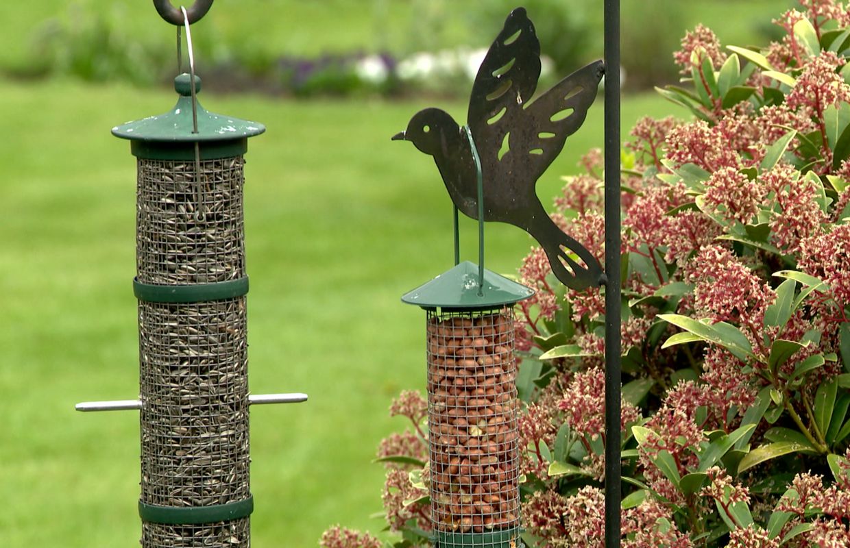 Le Jardin De Marthe Et Jacques Dans Le Tournaisis