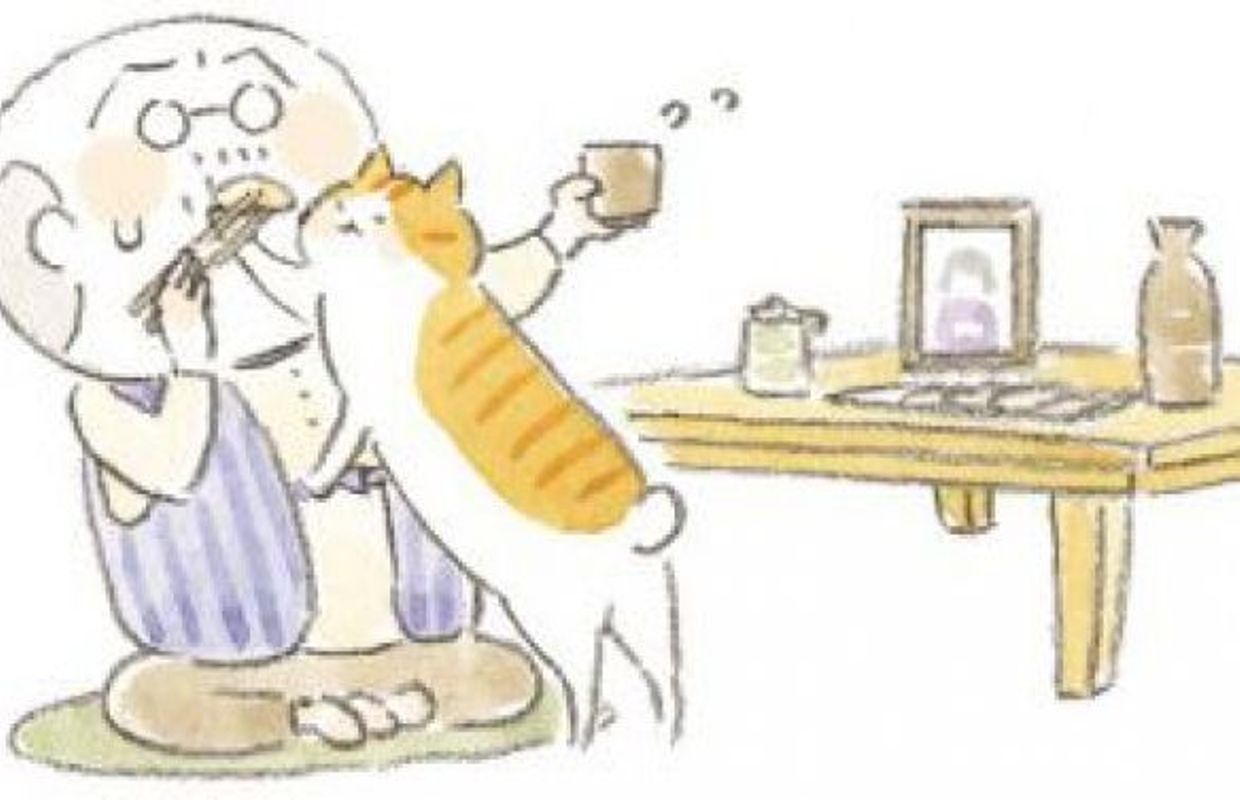 Le Vieil Homme Et Son Chat Toute La Tendresse Du Quotidien Le Vieil Homme Et Son Chat Toute La Tendresse Du Quotidien