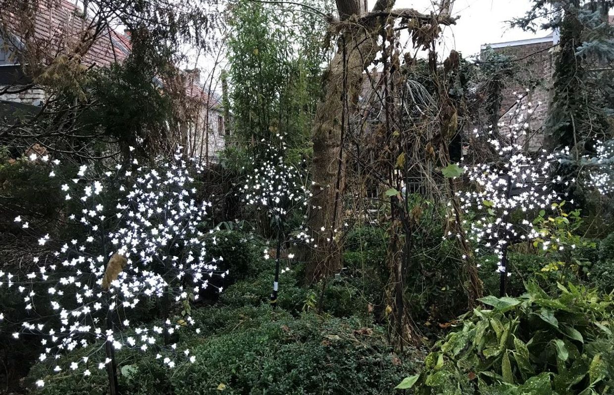 Jardins De Curé L Art Et La Manière Huy 20eme Anniversaire Des Hivernales Au Jardin Du Cure