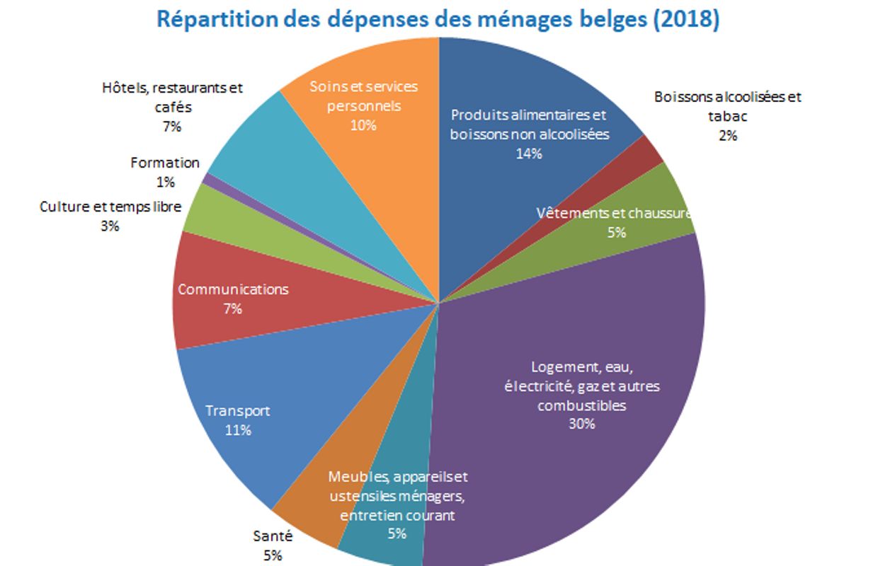 Comment les ménages belges dépensent-ils leur budget annuel
