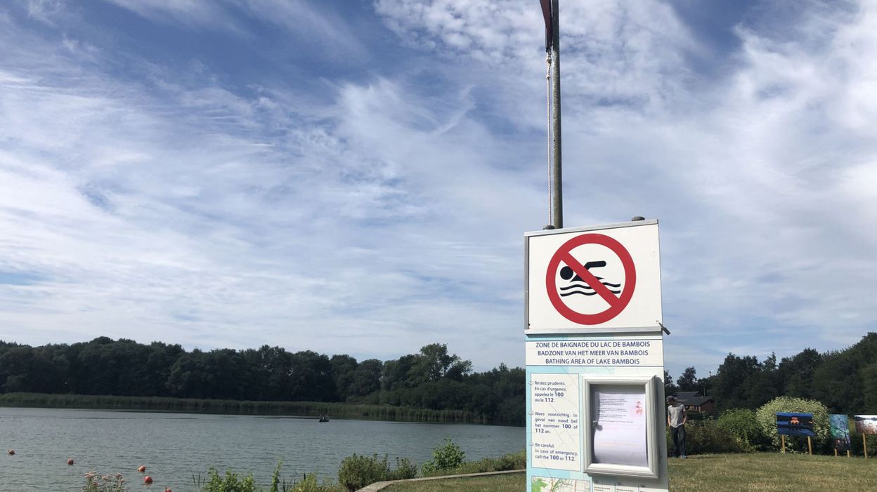 Fosses La Ville Les Algues Bleues Envahissent Le Lac De Bambois