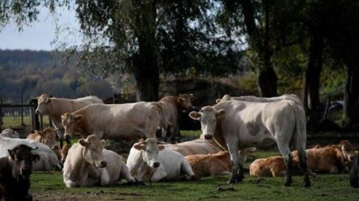 Le Prix Moyen Ha D Un Terrain Agricole Etait De 26 000 Euros