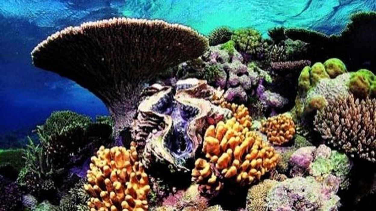 Histoire du Monde la grande barrière de corail