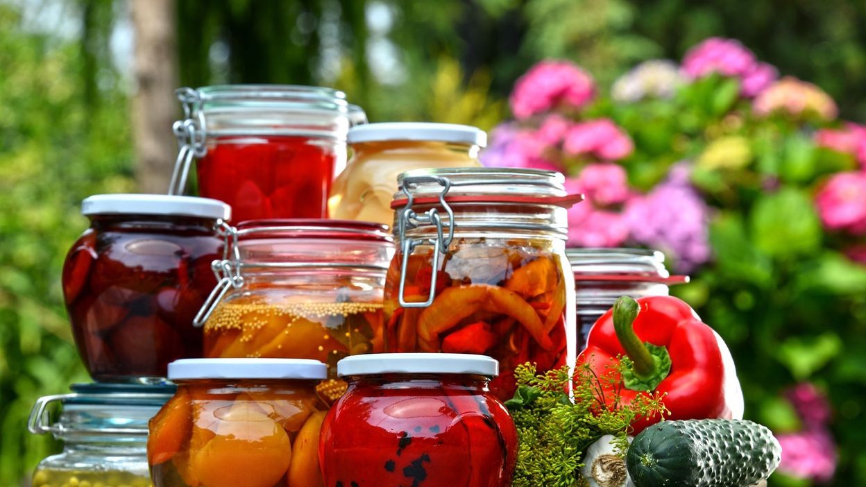 Savez vous ce qu'est la lacto-fermentation ... - 486c825Db2f776Da72D0b7a791f45b8f 1570101519