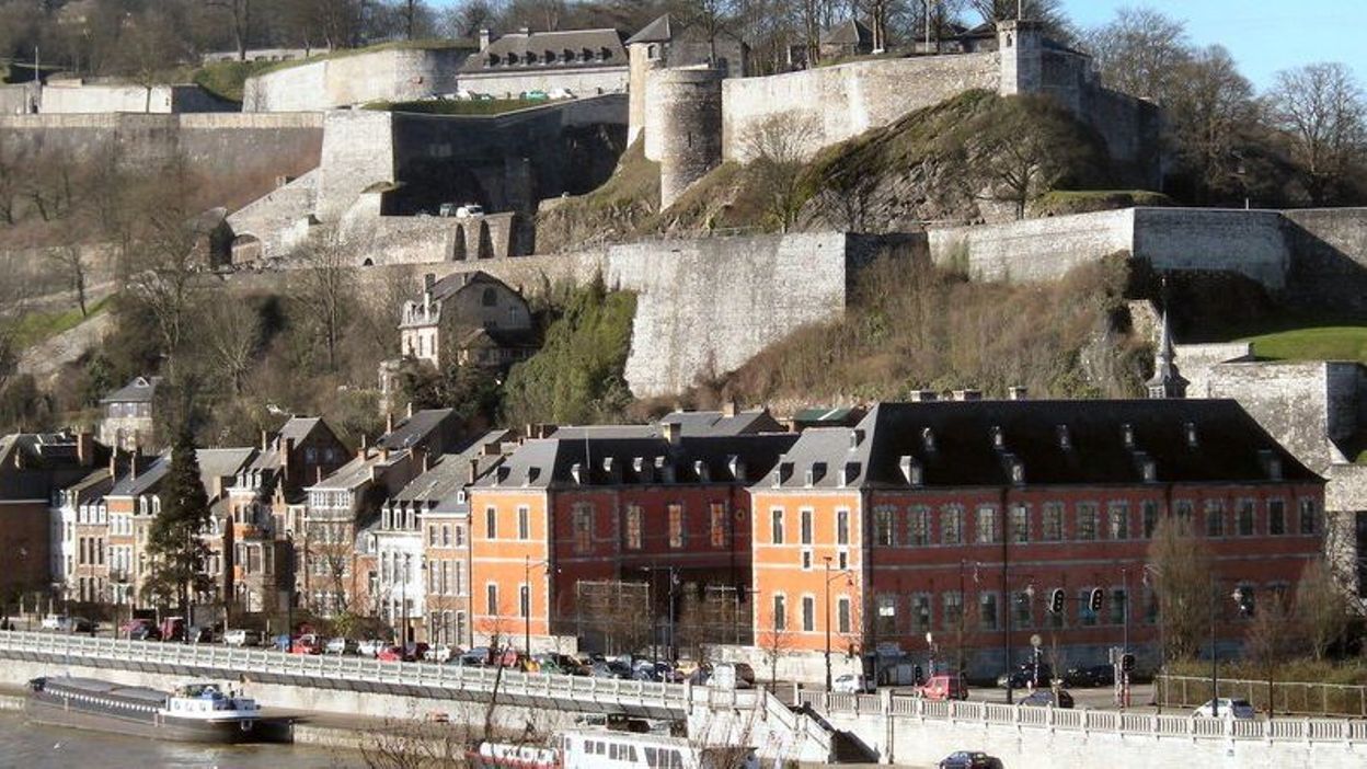 Бегония namur фото