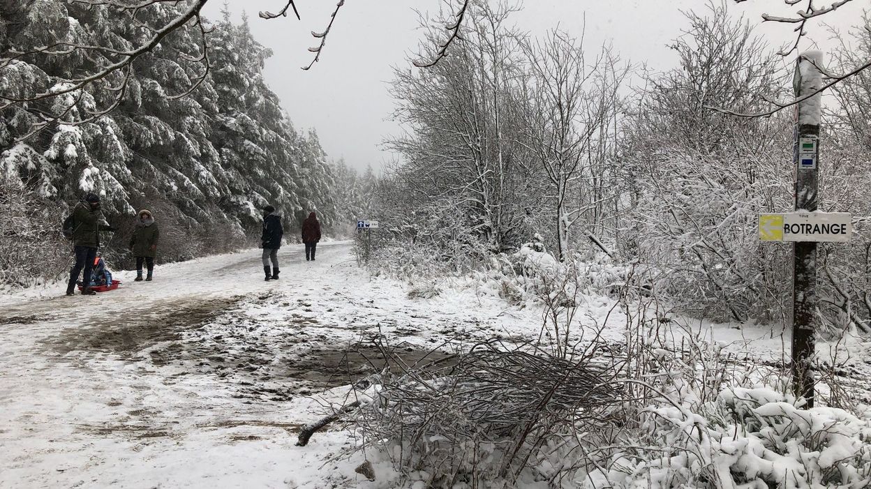 Ou Trouver De La Neige Aujourd Hui Belgique