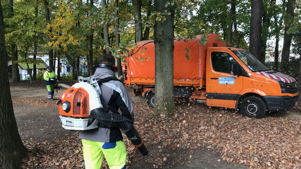 Faut Il Ramasser Les Feuilles Mortes Dans Le Jardin Plutot Que De Ramasser Vos Feuilles Mortes Et Les Porter Au Parc A Conteneurs Laissez Les Au Jardin