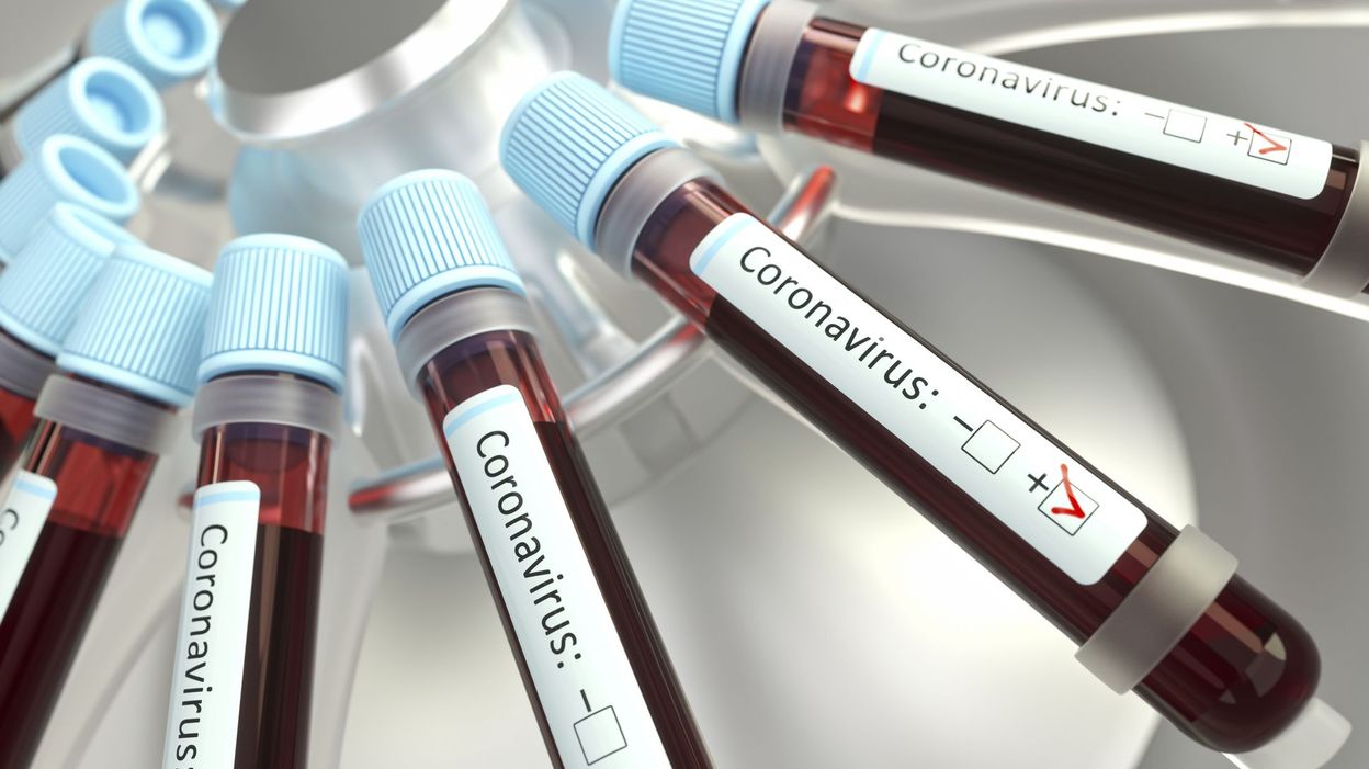 Coronavirus en Belgique : où en est le Covid-19 dans votre ...