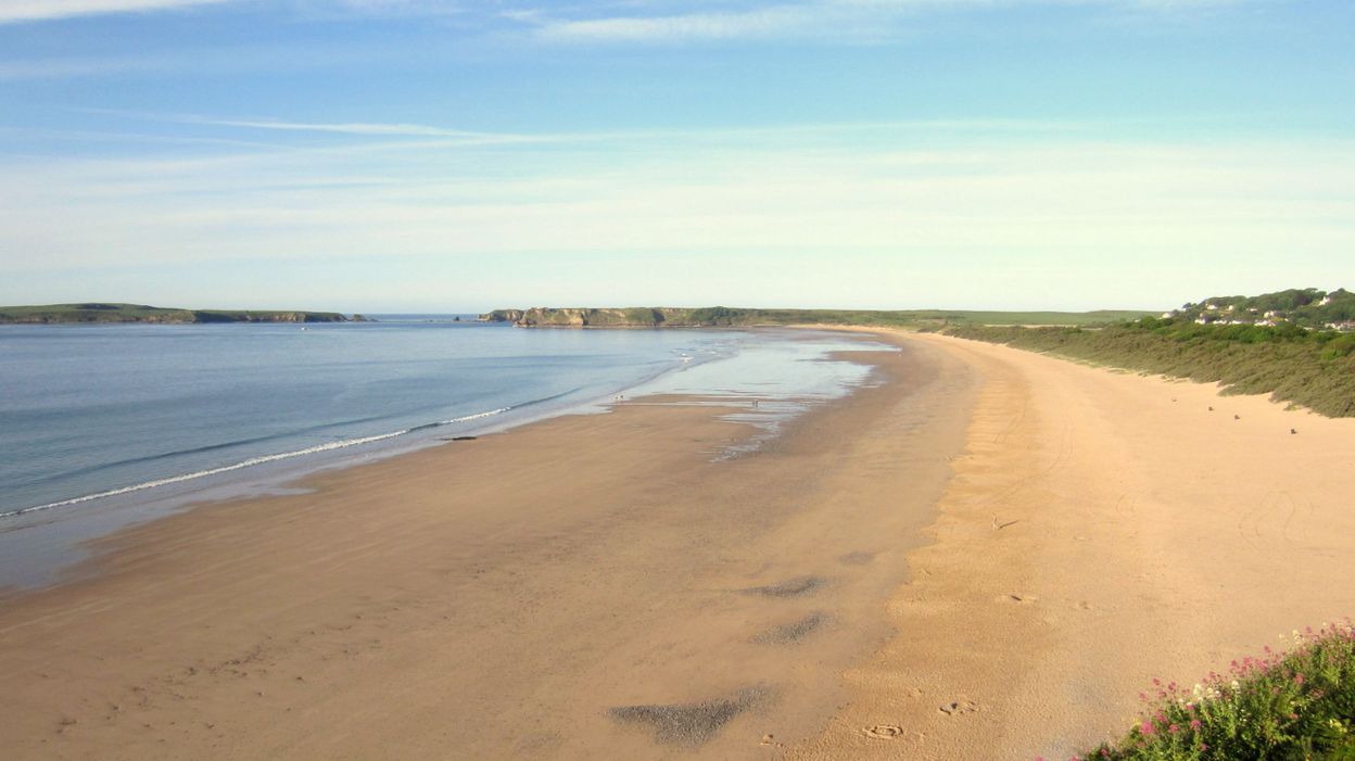 La bete de tenby