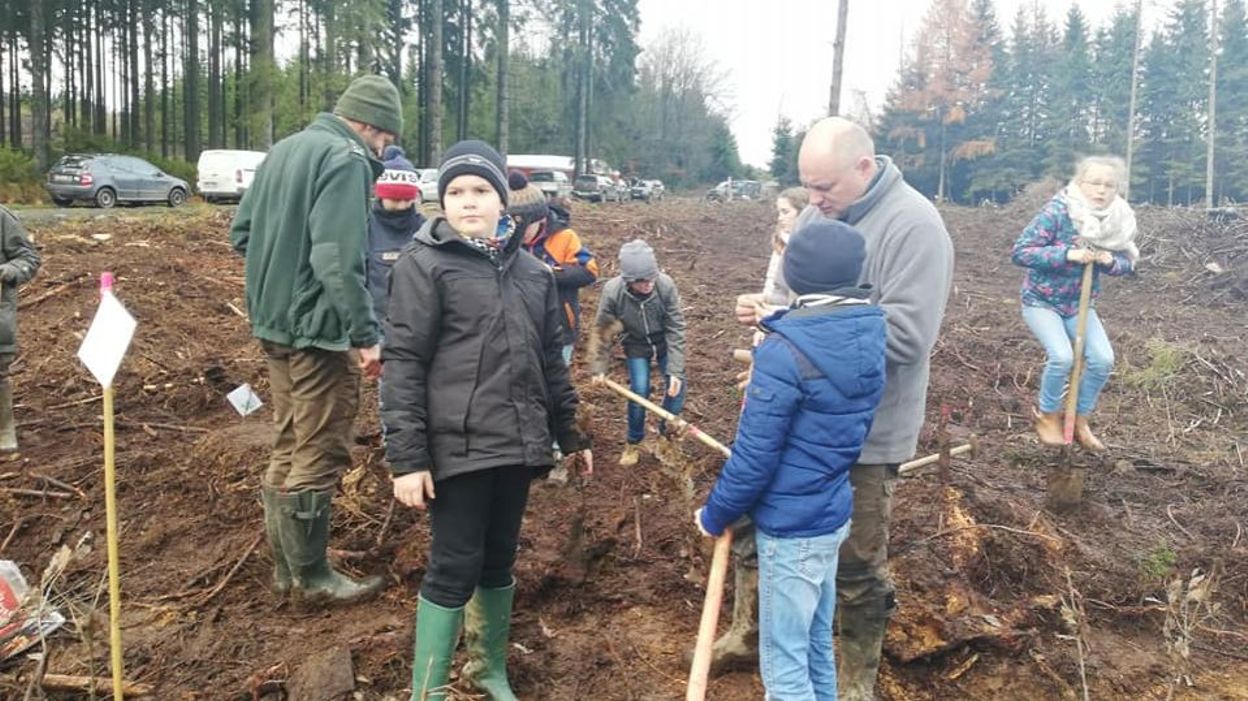 Planter Des Arbres Pour Sauver La Planète Vielsalm: les citoyens ont planté des arbres pour sauver la planète
