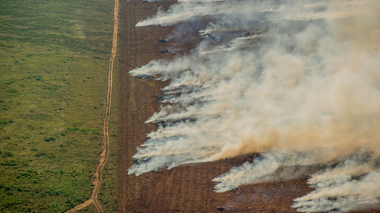Amazonie: le Brésil n'atteindra pas son objectif de réduction de la déforestation - Vimarsana News