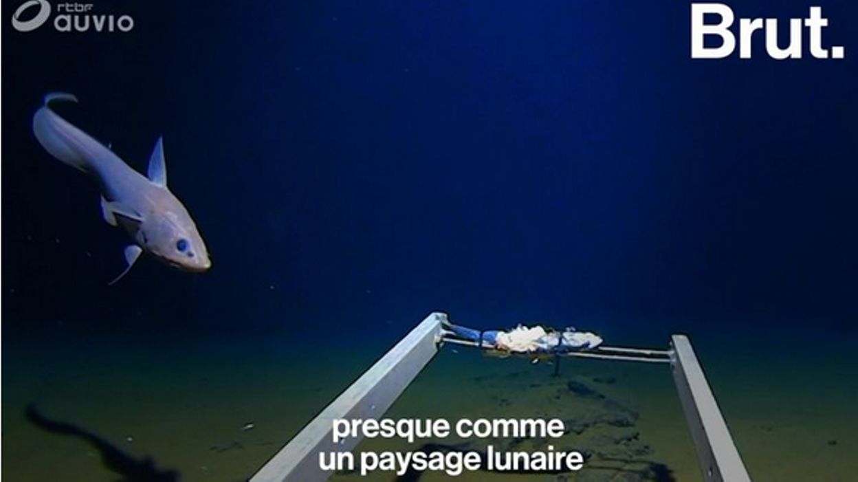 Aussi Profond Que L'océan Explication Fin Des déchets plastiques découverts au plus profond de l'océan
