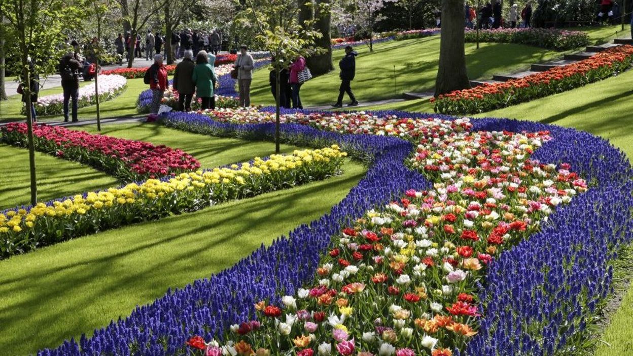 Le plus grand parc aux fleurs L'immersion de 7 à la Une