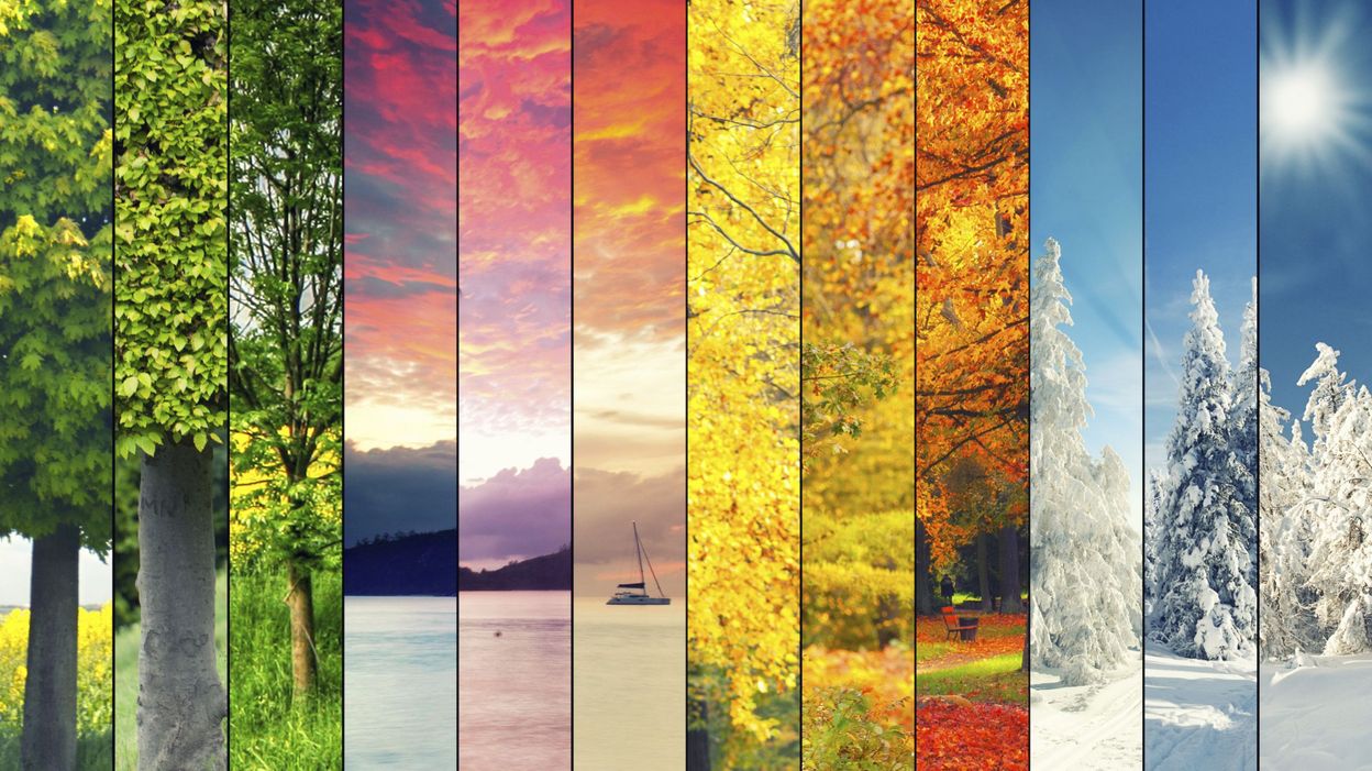 Printemps été Automne Hiver Êtes-vous printemps, été, automne ou hiver