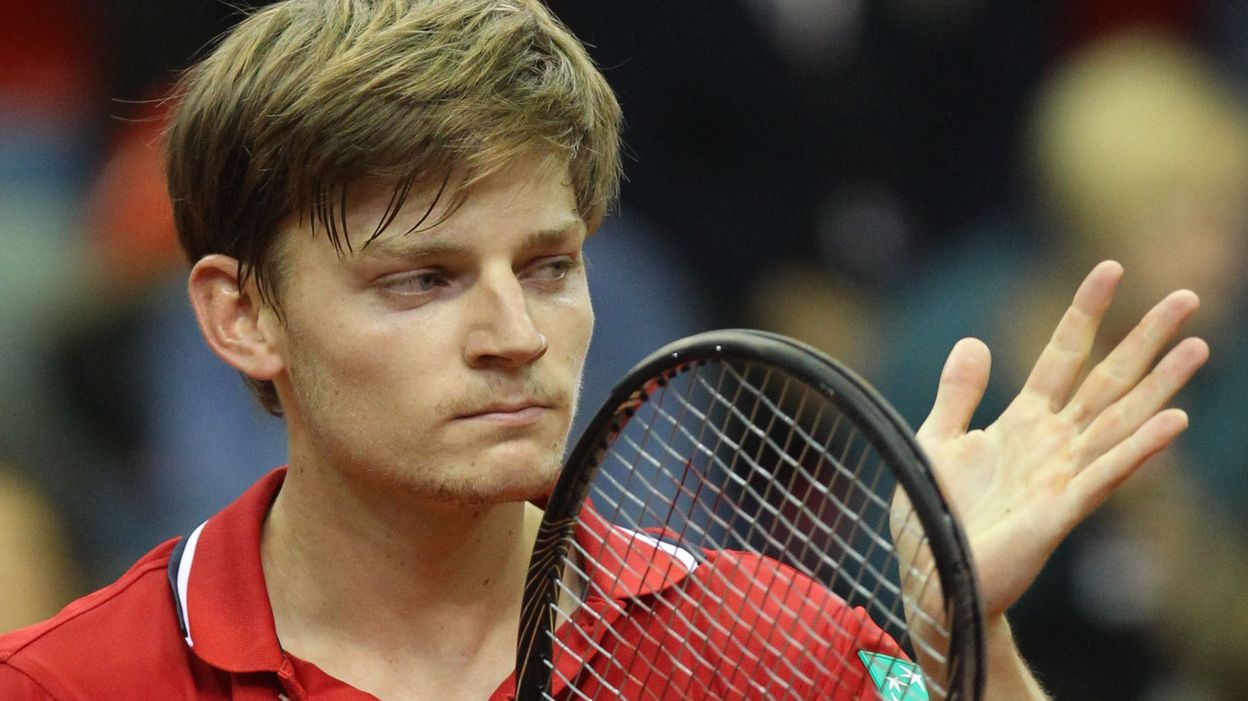 Monfils Goffin Monfils Goffin