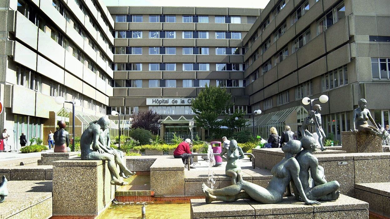 Liège: Un Nouvel Hôpital De Jour Gériatrique à La Citadelle