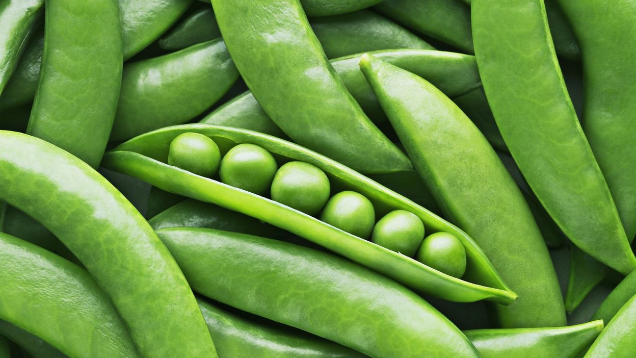 Voici Pourquoi Le Petit Pois Est L Ingredient Du Futur