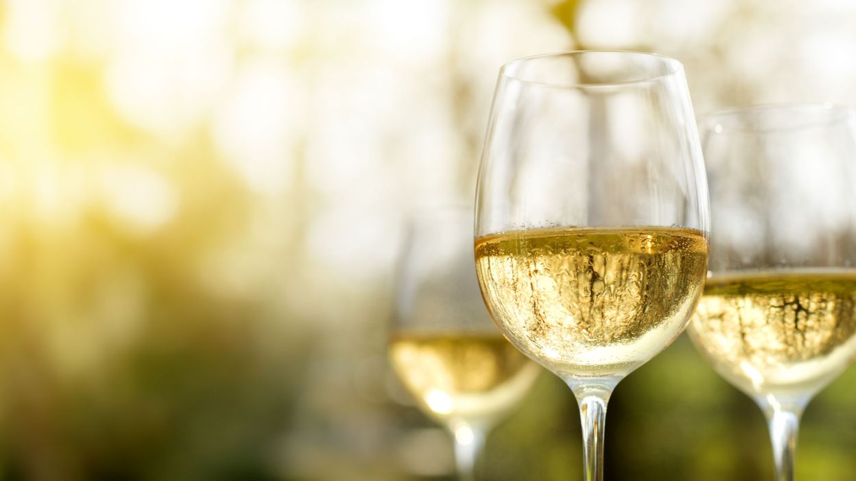 Quel vin blanc pour quel poisson de la Méditerranée