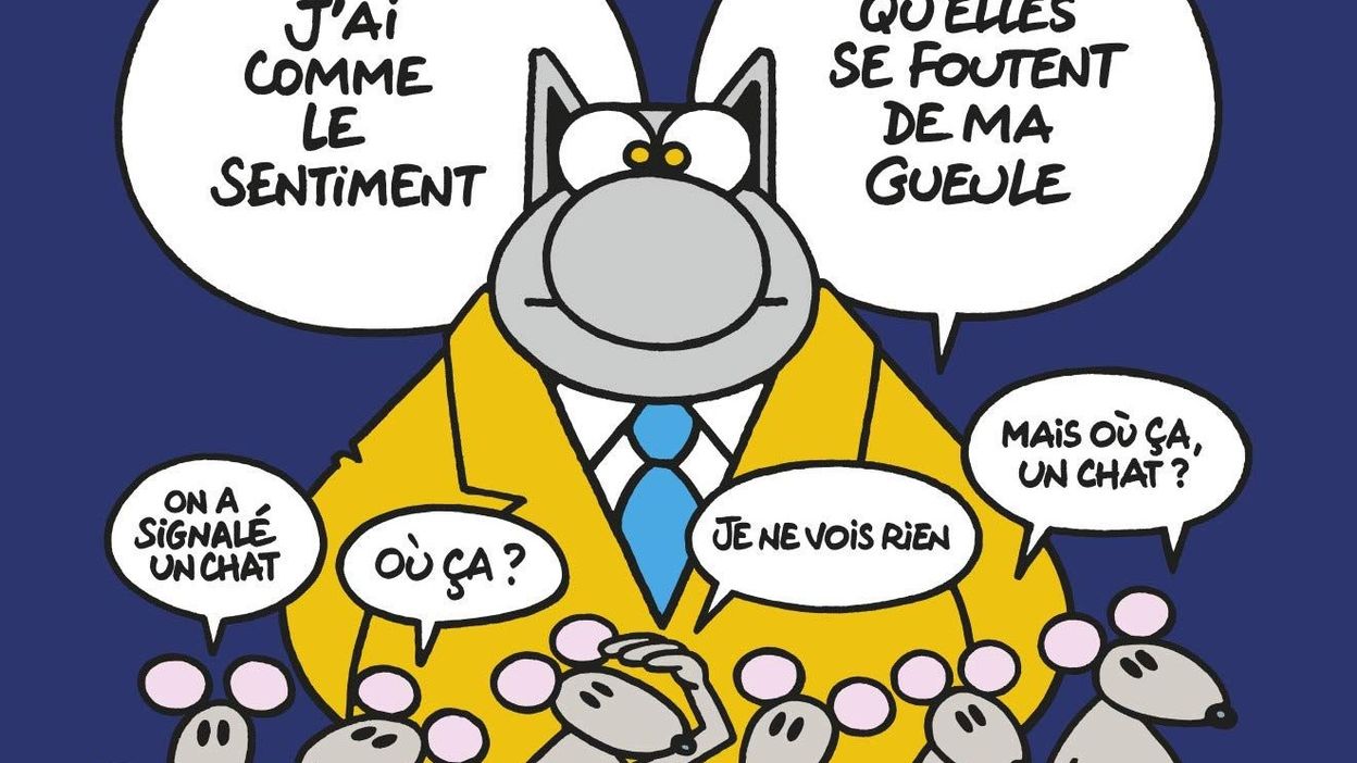 Avec Son Nouvel Album Oubliez Le Coronavirus Le Chat Est Parmi Nous