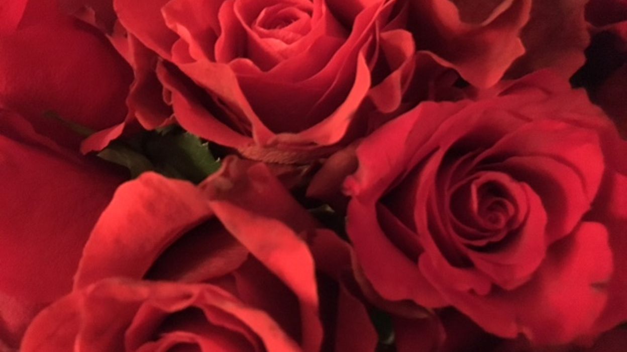 Pourquoi Le Prix Des Roses Flambe à La Saint Valentin