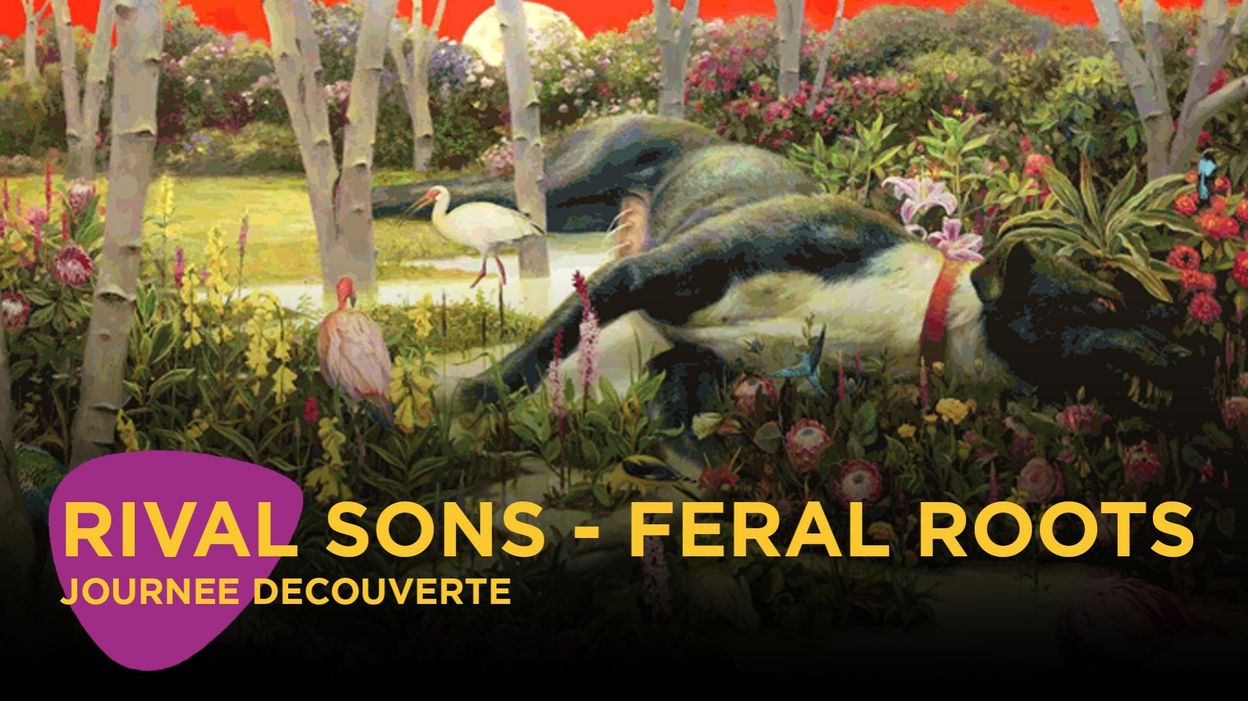 Rival Sons Feral Roots