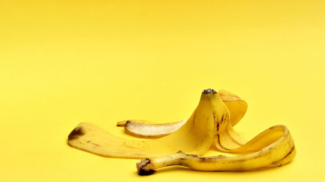 La peau de banane, un allié aux multiples vertus