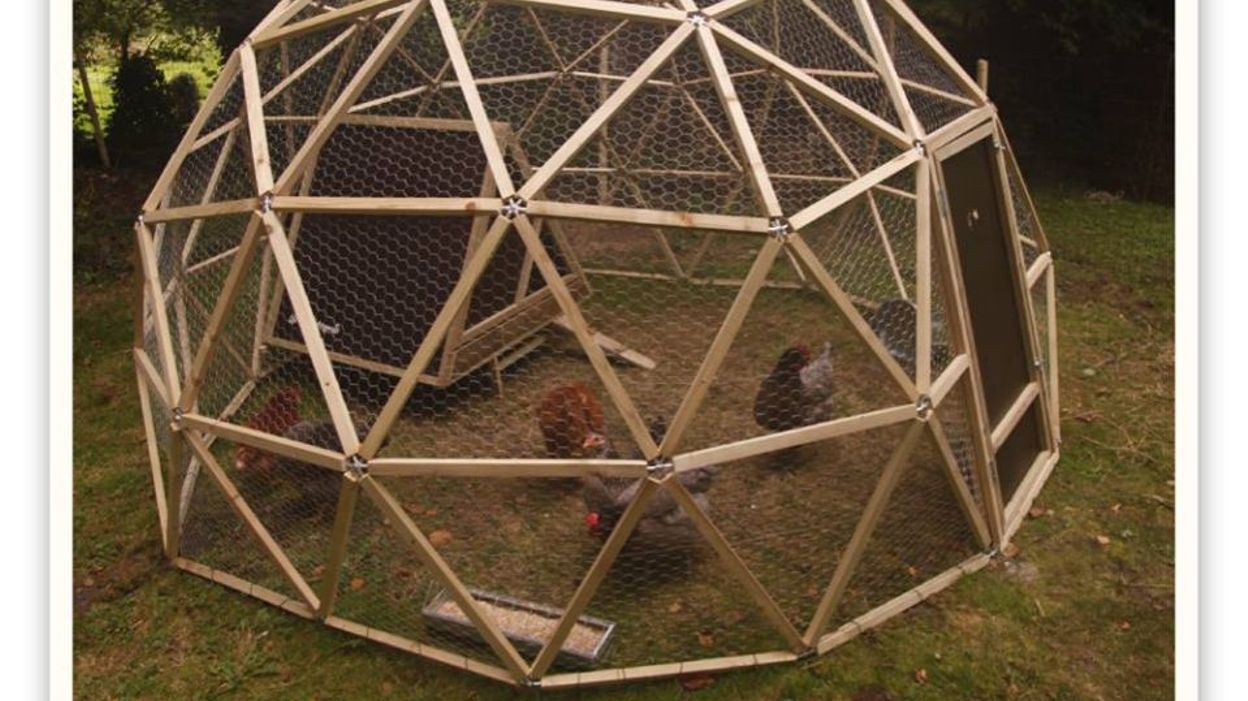 Cocorico Enfin Des Poules Pondeuses Plus Heureuses Rtbf Max Et Venus