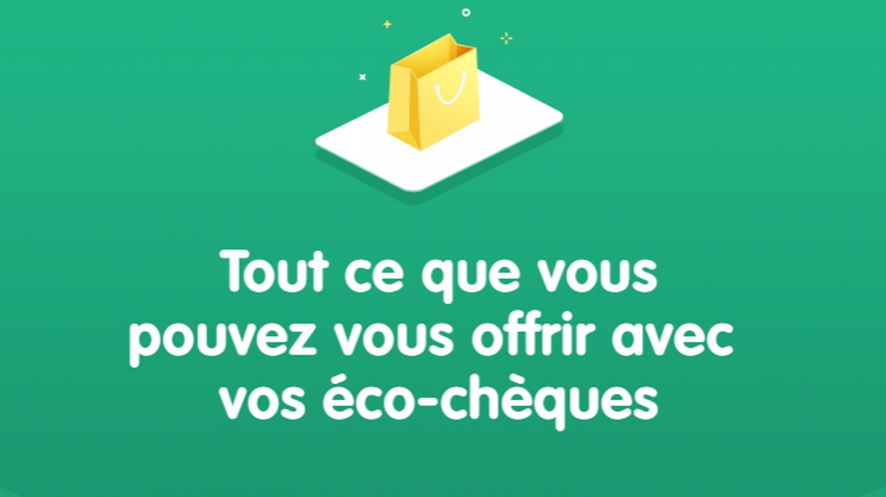 Tout Ce Que Vous Pouvez Vous Offrir Avec Vos Eco Cheques