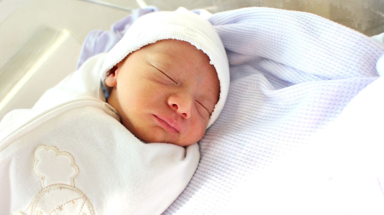 Petites Pieuvres Sensation Cocon Des Doudous Pour Reconforter Les Bebes Prematures