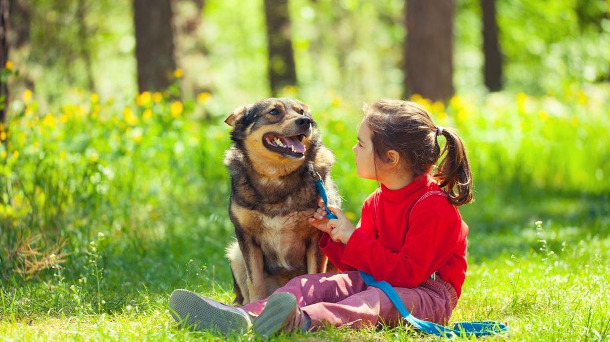 Qu Est Ce Que La Communication Animale
