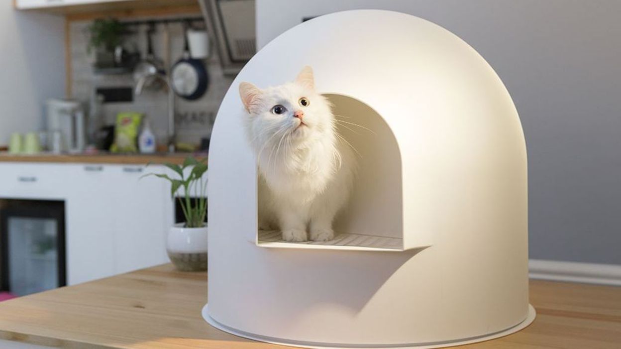 Une Litiere Pour Chat Design Et Qui Ne Sent Pas