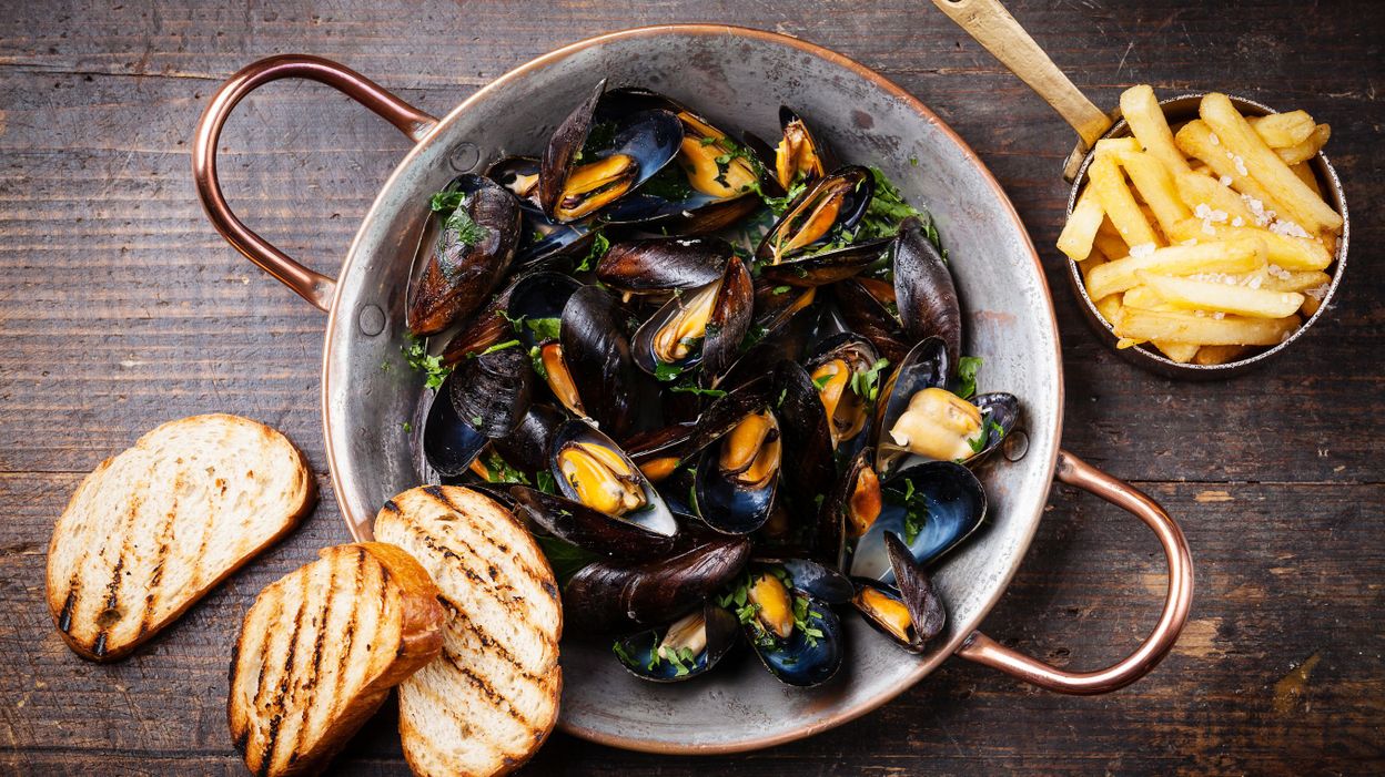 Ou Cueillir Des Moules Sur La Cote D'opale 2022
