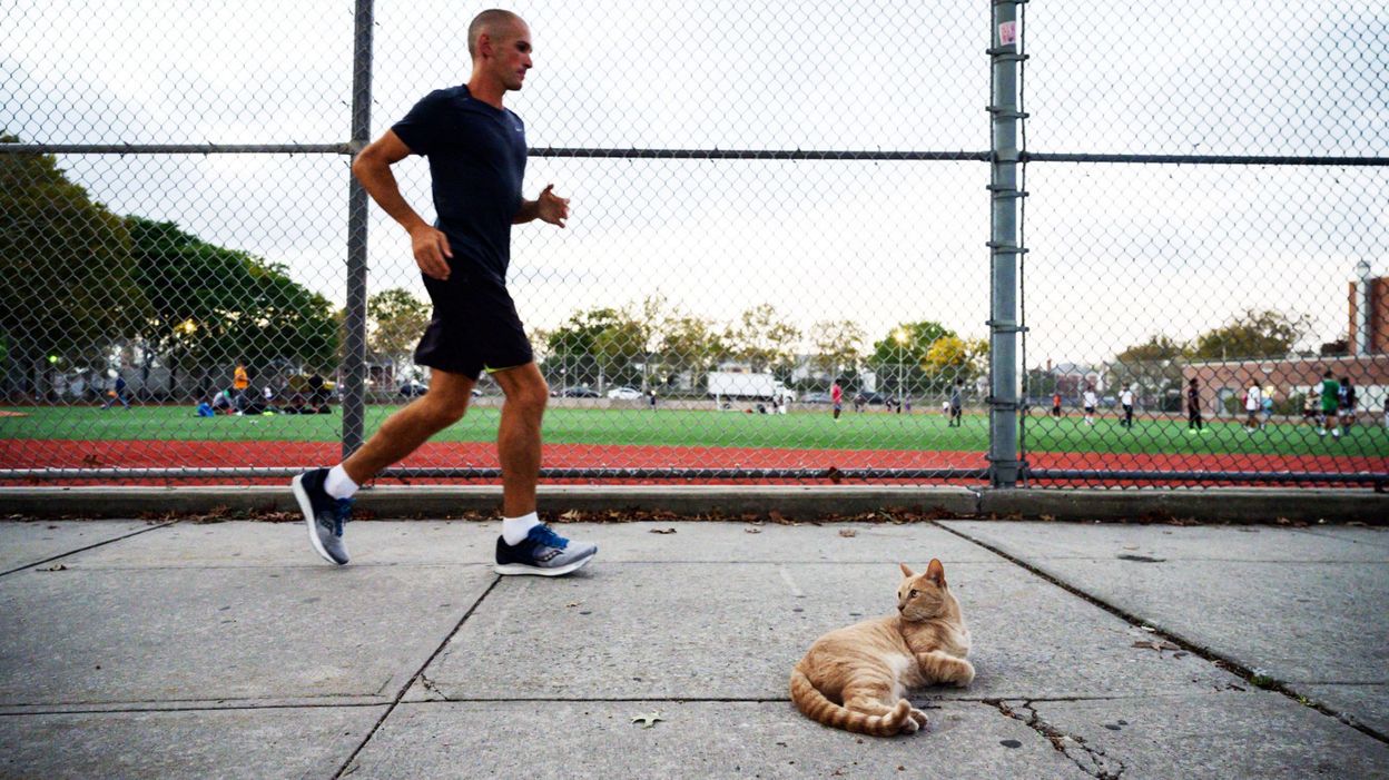 In New York, the longest and craziest walking event in the world around a single block of buildings for 42 days