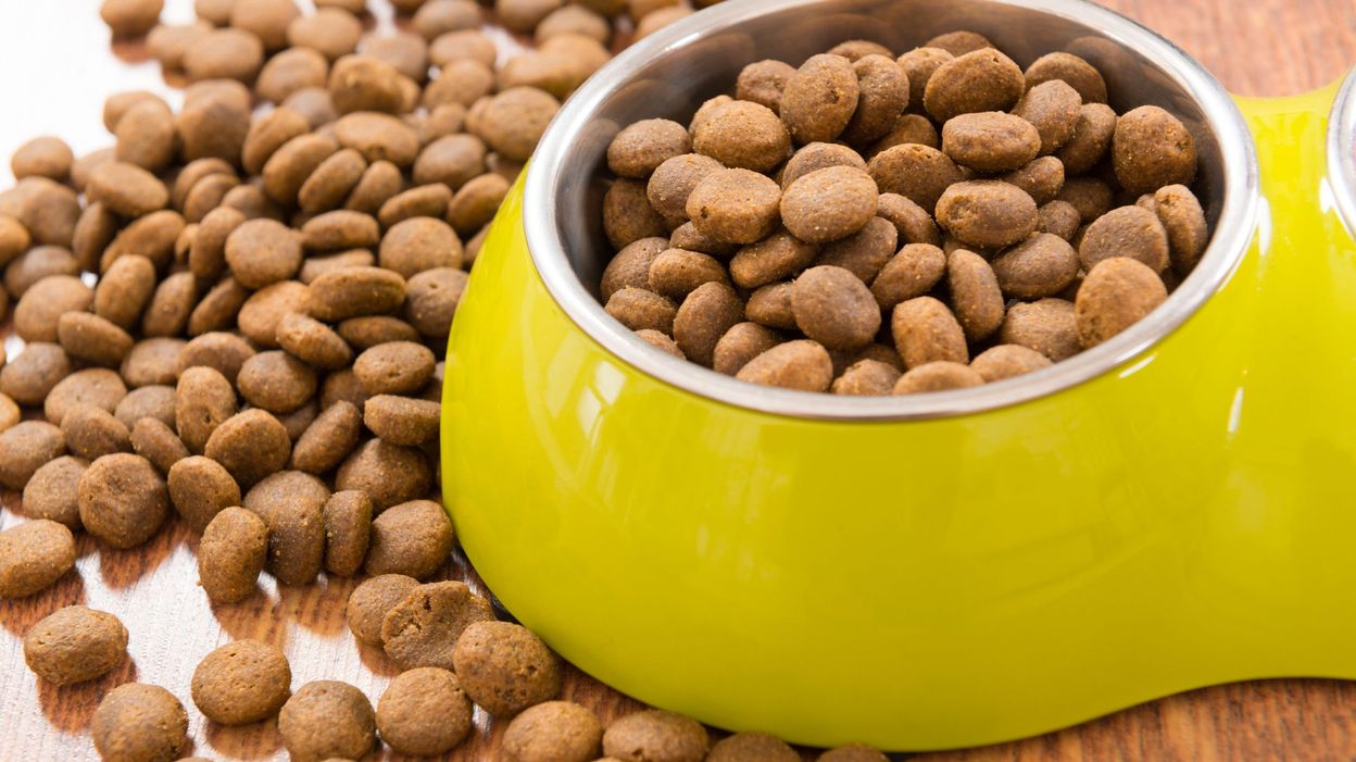 Comment faire soimême de bonnes croquettes pour animaux