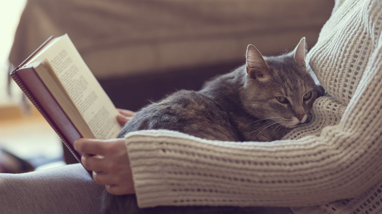 Apprenez à Communiquer Avec Votre Animal Domestique