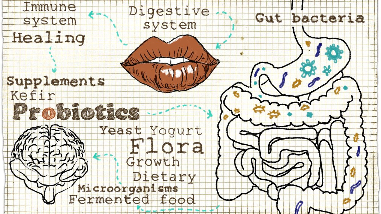 Les bienfaits des probiotiques