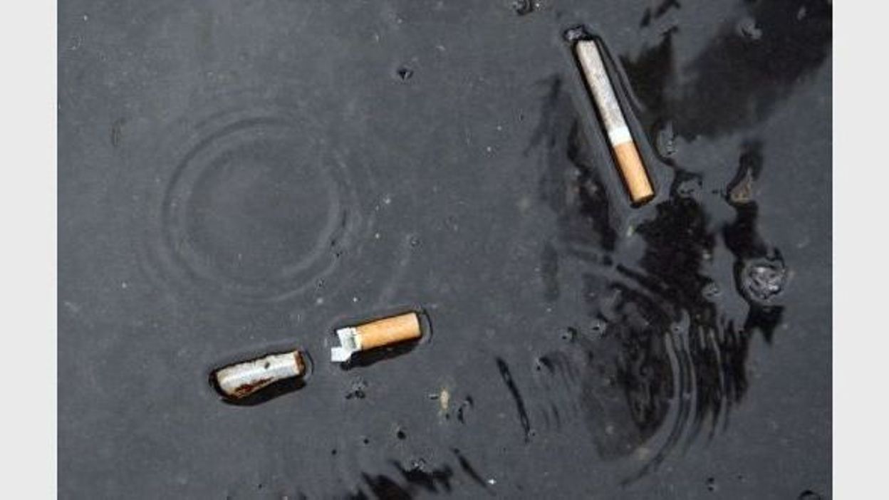 USA: l'effet coupe-faim de la nicotine, c'est dans le cerveau USA: l'effet coupe-faim de la nicotine, c'est dans le cerveau