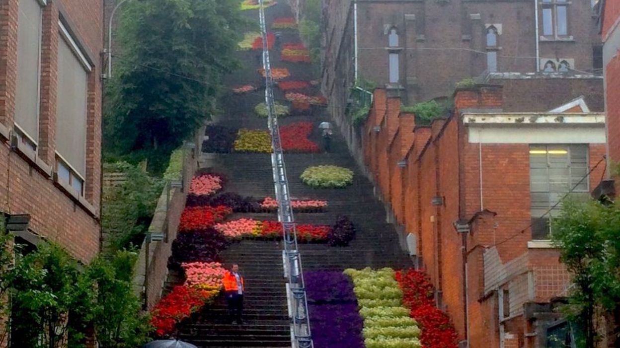 Liège La Montagne De Bueren En Fleurs Diaboliques