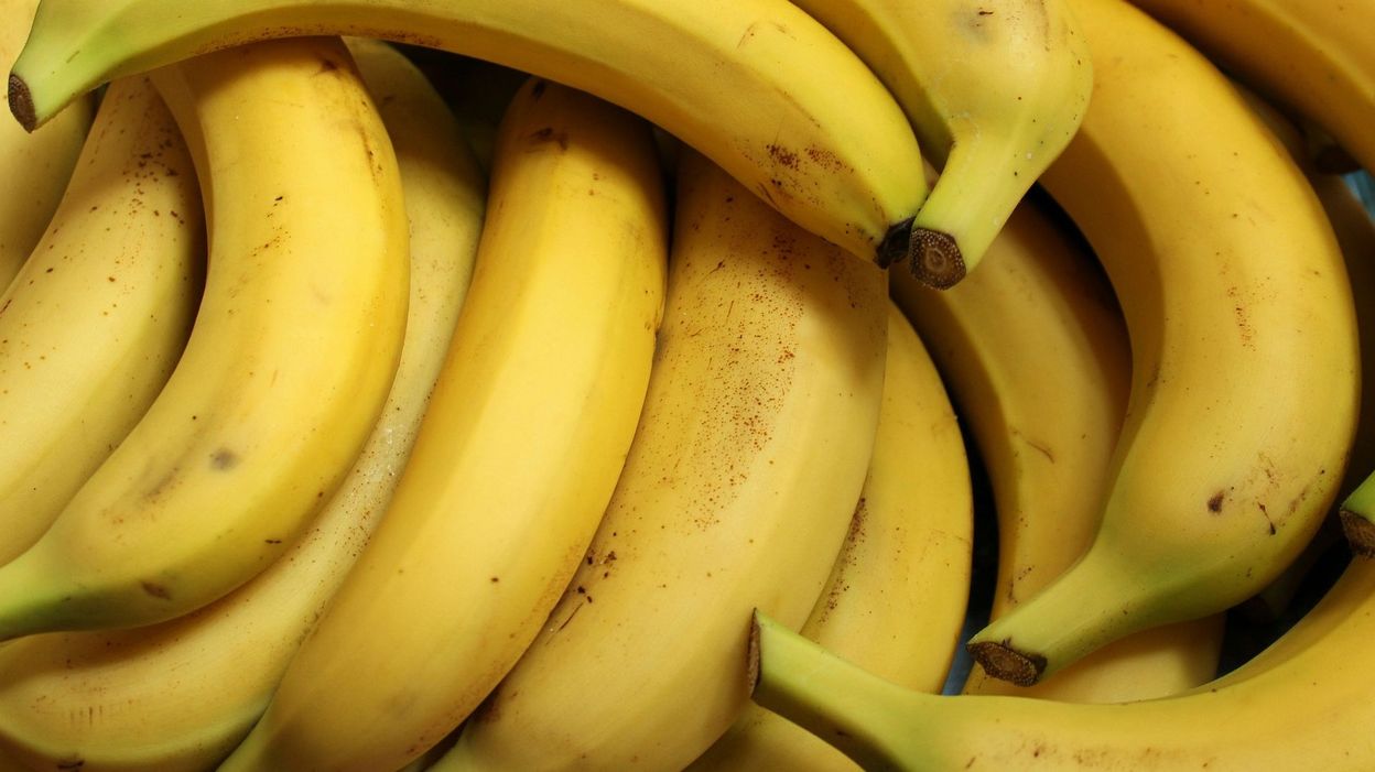 Scarica Gratis Images Bananes Fairtrade Lidl Fait Marche Arriere Et Introduit Des actualisé salutations