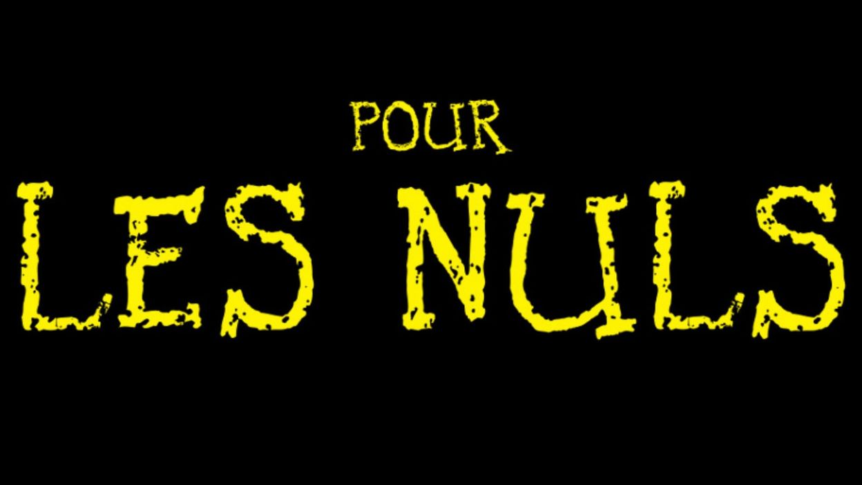 Phénomène d'édition, la collection "Pour les nuls" a 15 ans